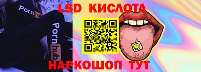 прущие грибы Усть-Джегута