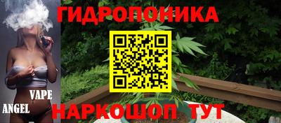 прущие грибы Усть-Джегута